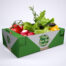 Fresh Vegetable Box